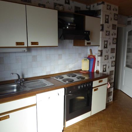 Ferienwohnung Rumrich Altenberg Bagian luar foto